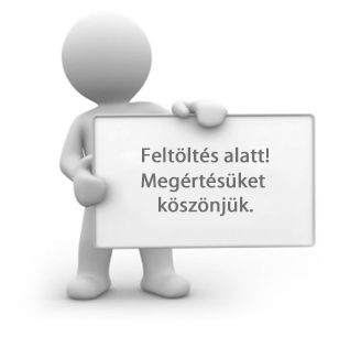 Képviselőtestület